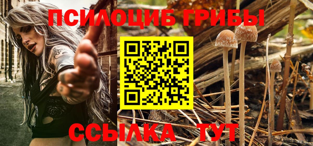 Великие Луки  Галлюциногенные грибы мухоморы  где купить наркотик  Вход с VPN 